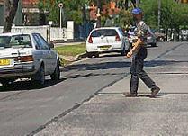 category pedestrians - Which of the following statements is correct?
