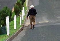 category pedestrians - When you see older people on or near the road, you should: